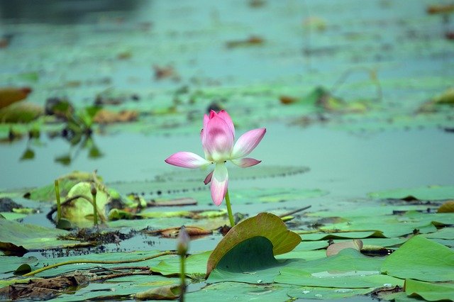 Robin Miller tweet media