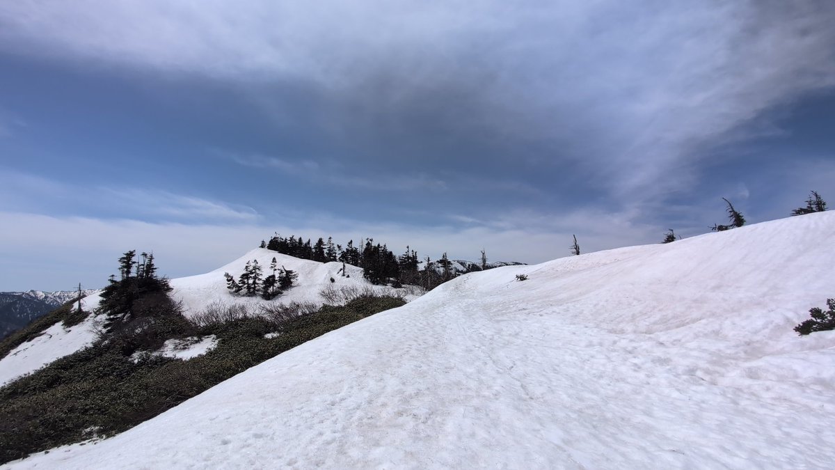 🐢⛰️ tweet media