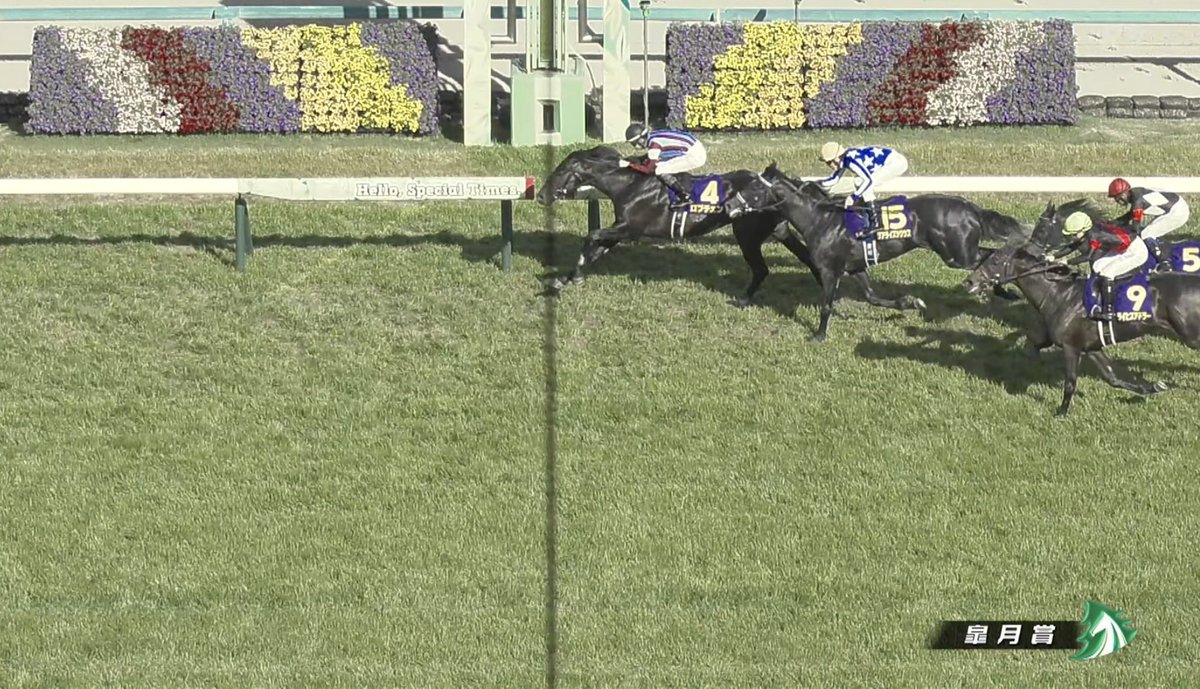 スパイマー tweet media