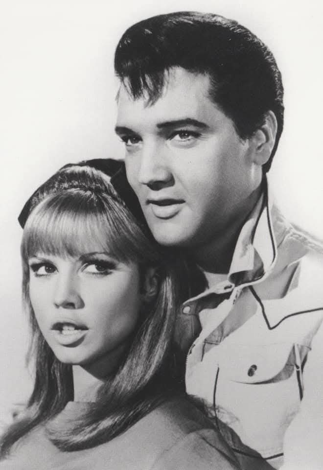 Tickle Me with Jocelyn Lane
#Elvis #ElvisPresley #Elvistheking #Elvis1965 #ElvisHistory #Elvis2026