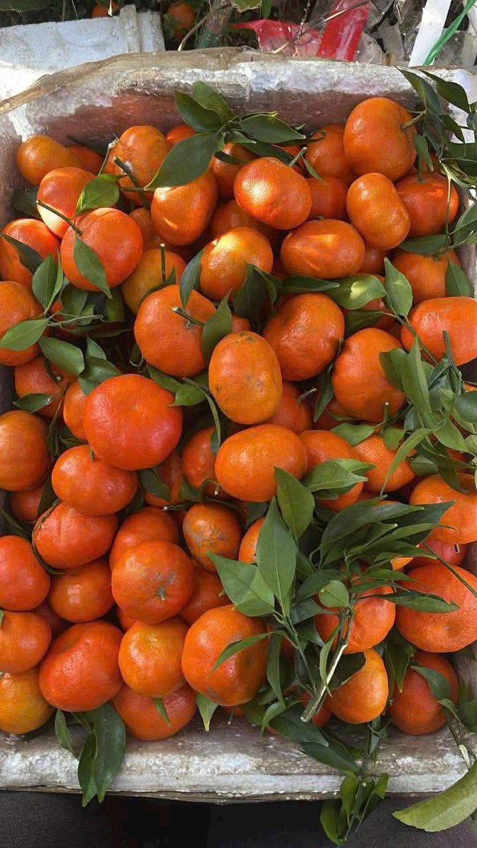 Thanh Hà CT tweet media