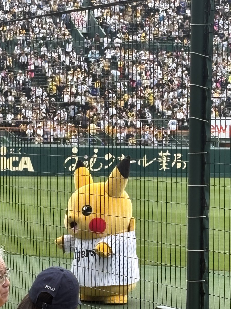 #クベーラ
は、ナグ様の色気がダダ漏れ過ぎて壁ドンされたい勢としてはヒュッとなるしーんが多くてキュンです（酔っ払いの戯言として流してください）
今日はココに居るのでめちゃくちゃ飲んでます