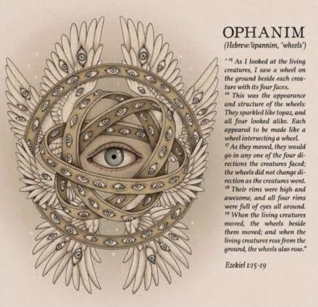 Adrienne Rainey tweet media