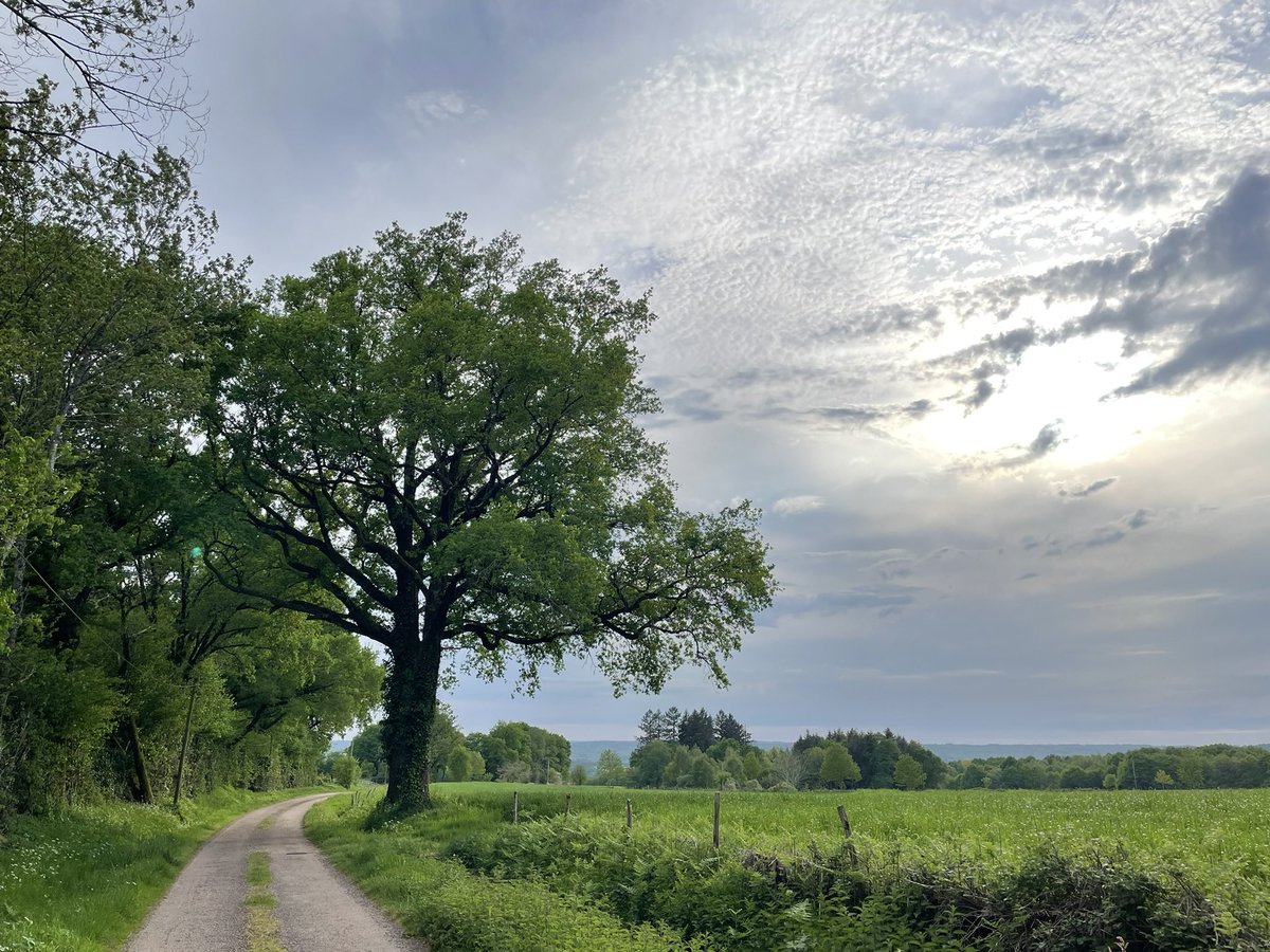 Ytje Poppinga 🇪🇺🇺🇦 tweet media