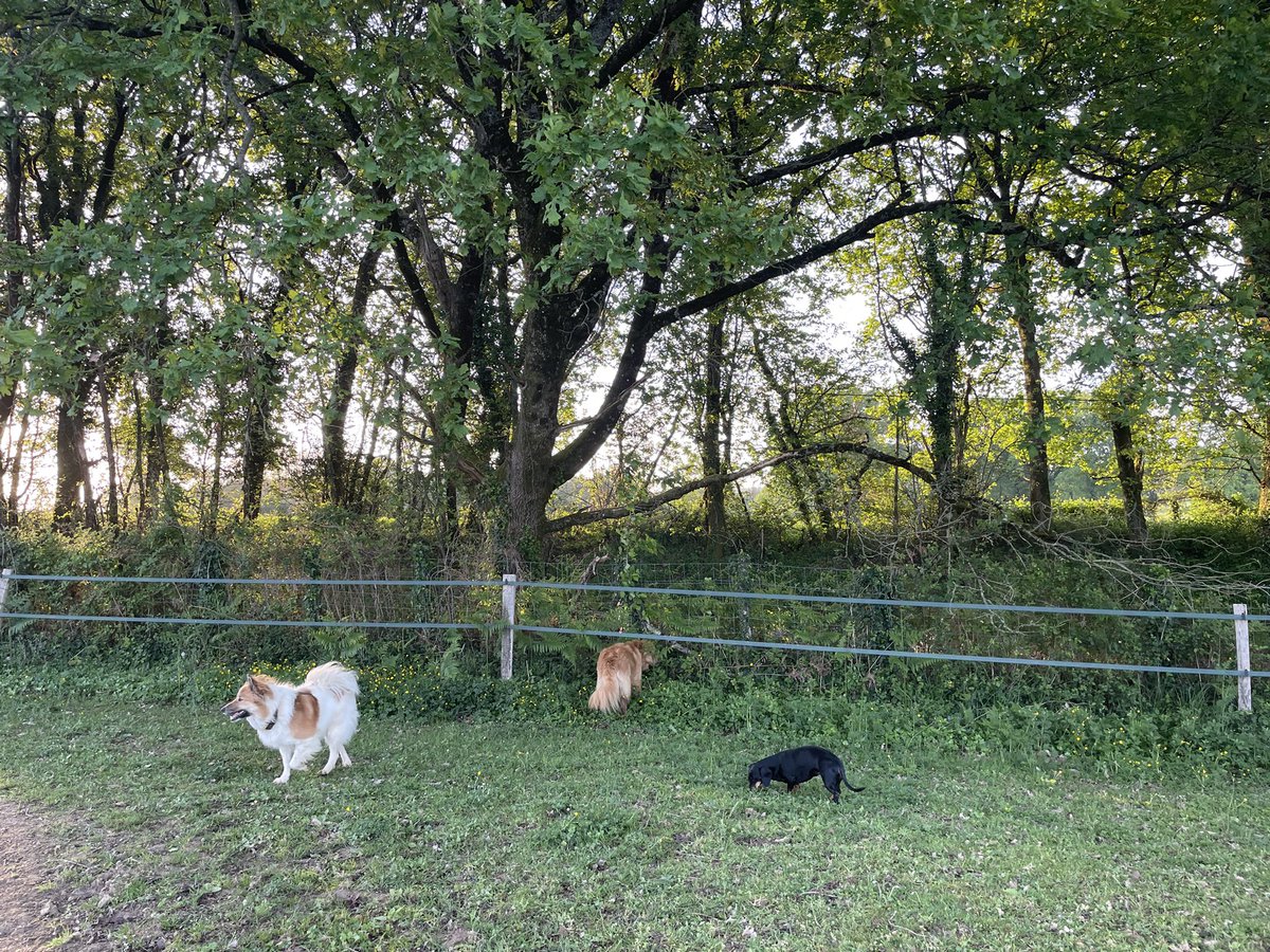 Ytje Poppinga 🇪🇺🇺🇦 tweet media