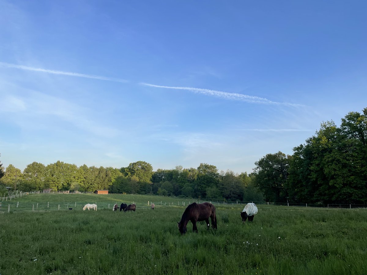 Ytje Poppinga 🇪🇺🇺🇦 tweet media