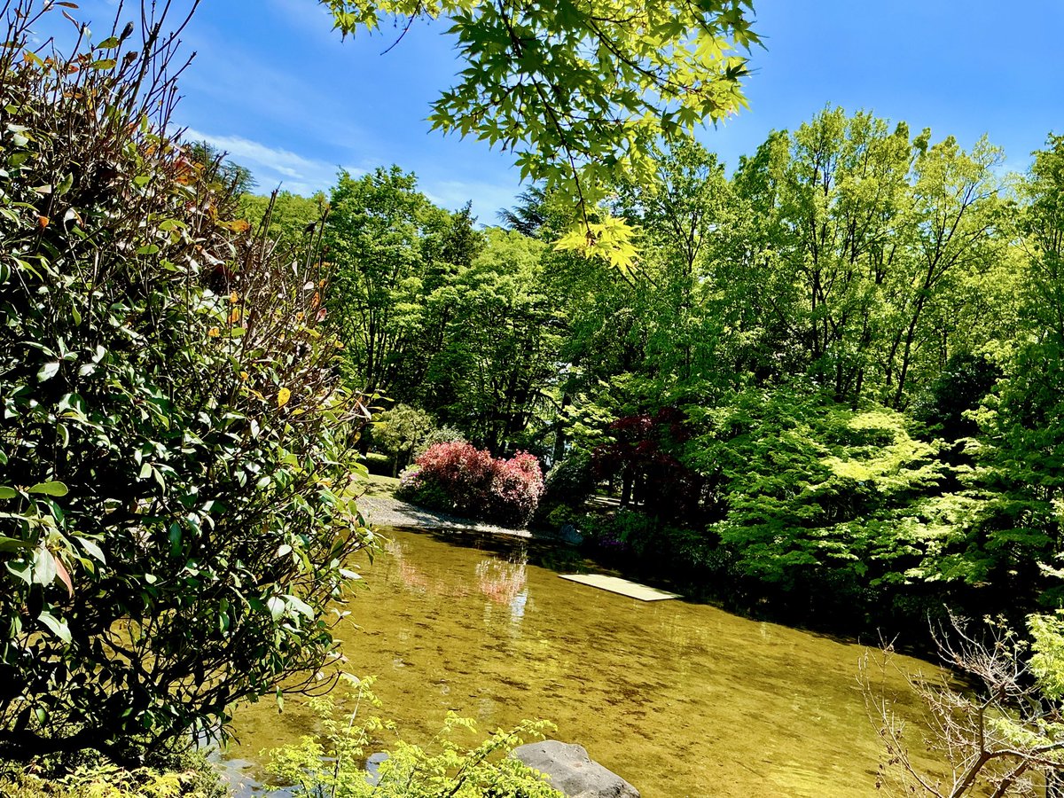 谷山紀章 tweet media