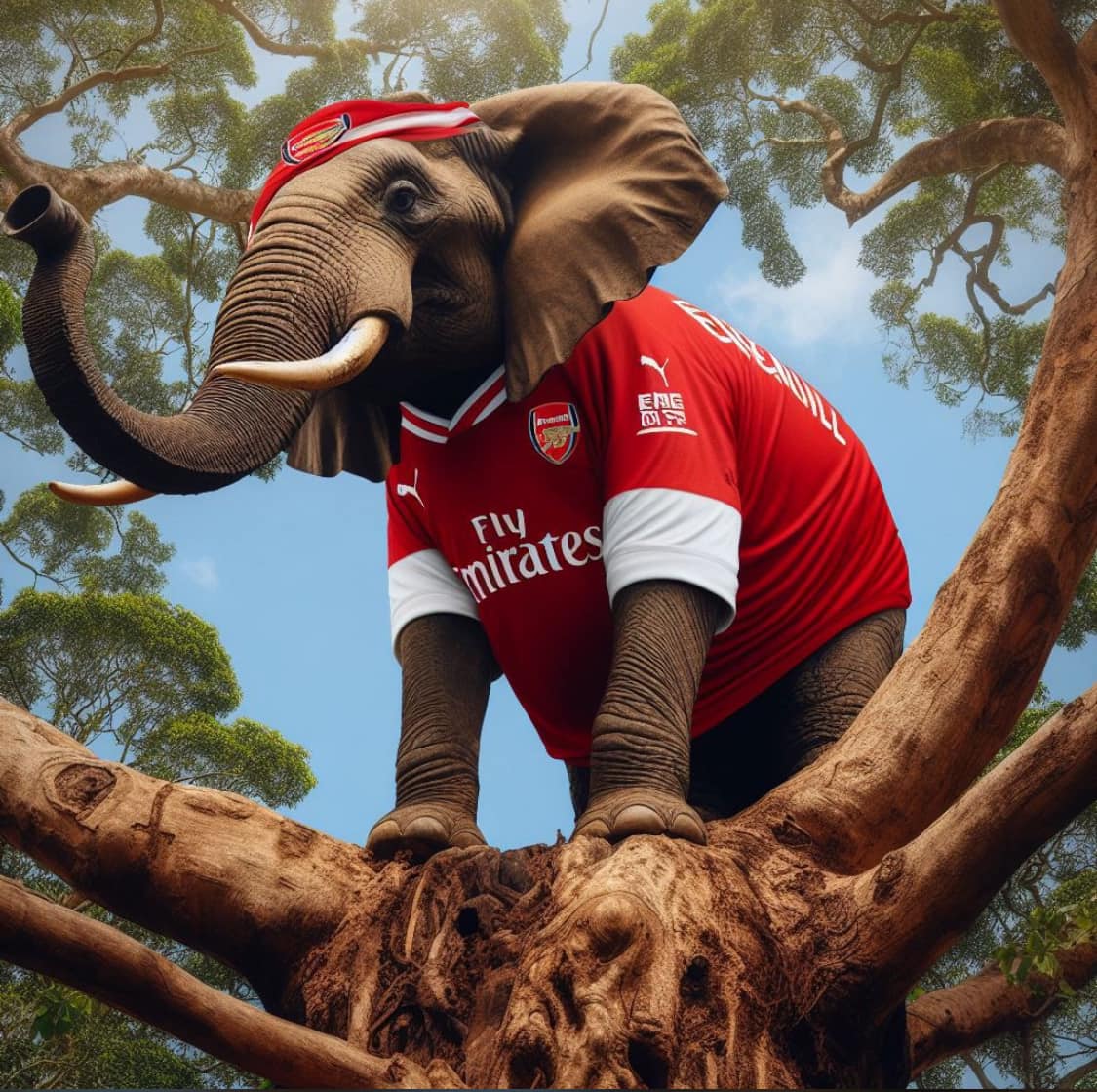 hon_faithmwaura's tweet photo. Leo ni ile siku.
Ndovu ni kuu !
#COYG #Arsenal #MatchDay https://t.co/J6y35E6zf3