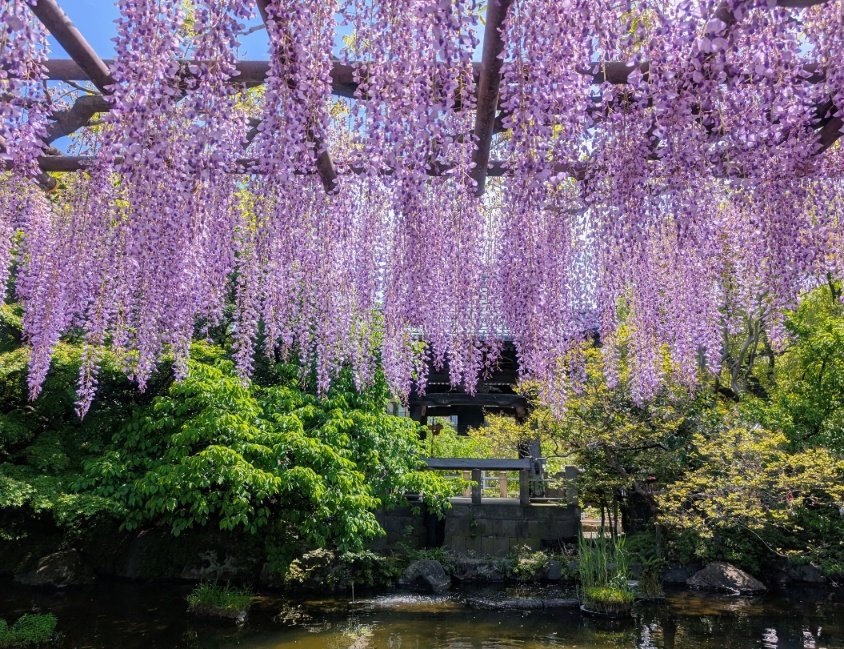 Berthe Morisot tweet media