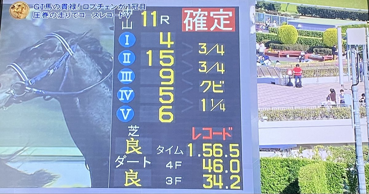 おしゃく孫。 tweet media