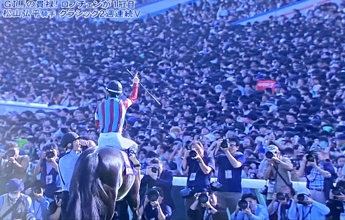 おしゃく孫。 tweet media