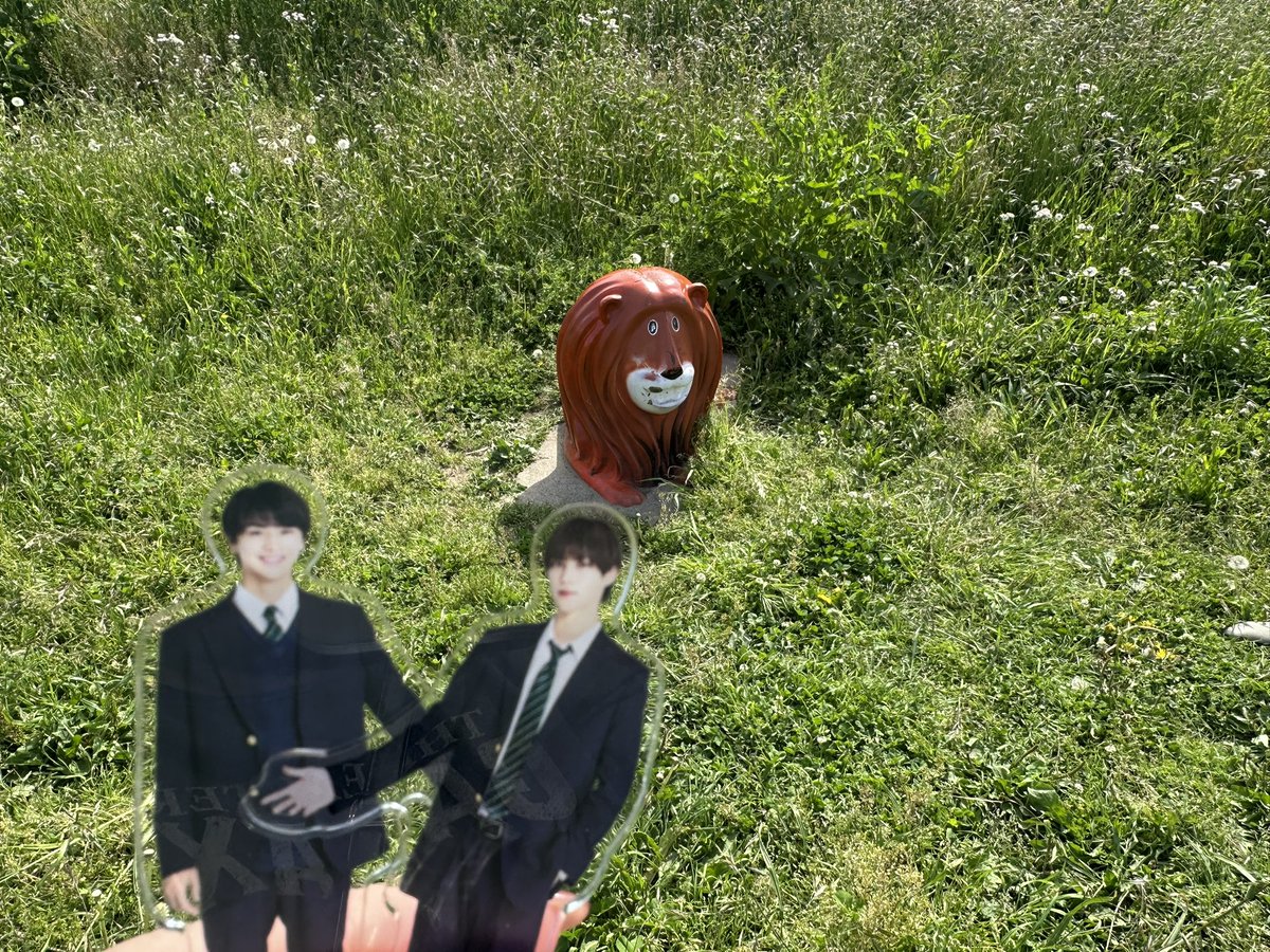 ミカ💚❤️ tweet media