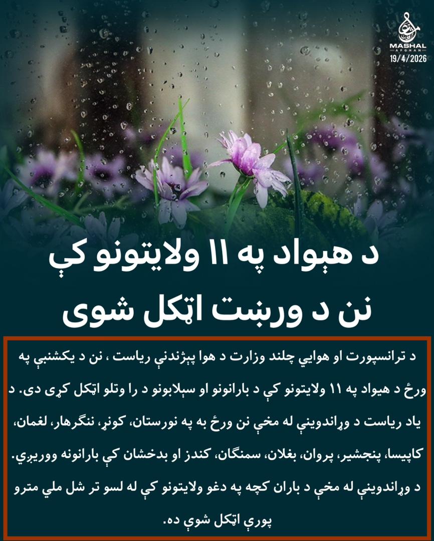 محمدشعیب tweet media