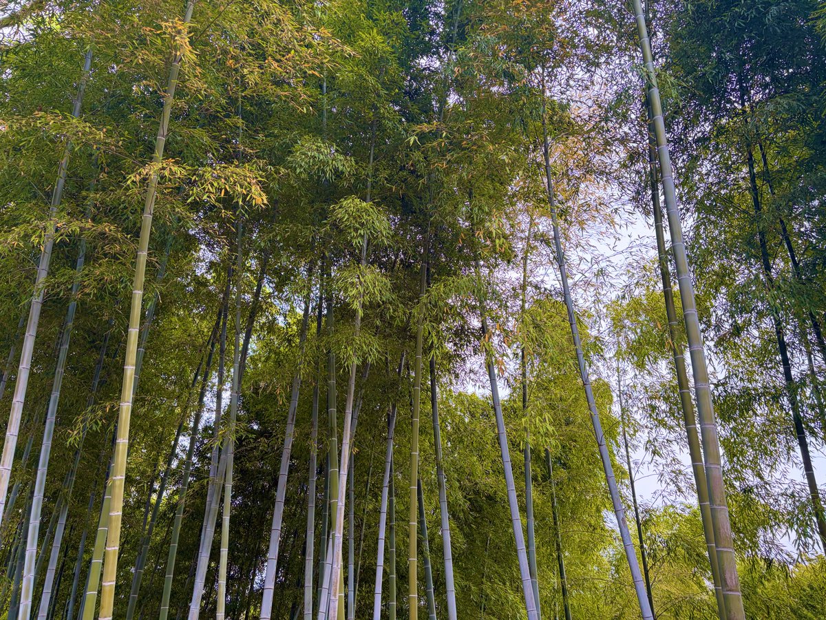 しんいち tweet media