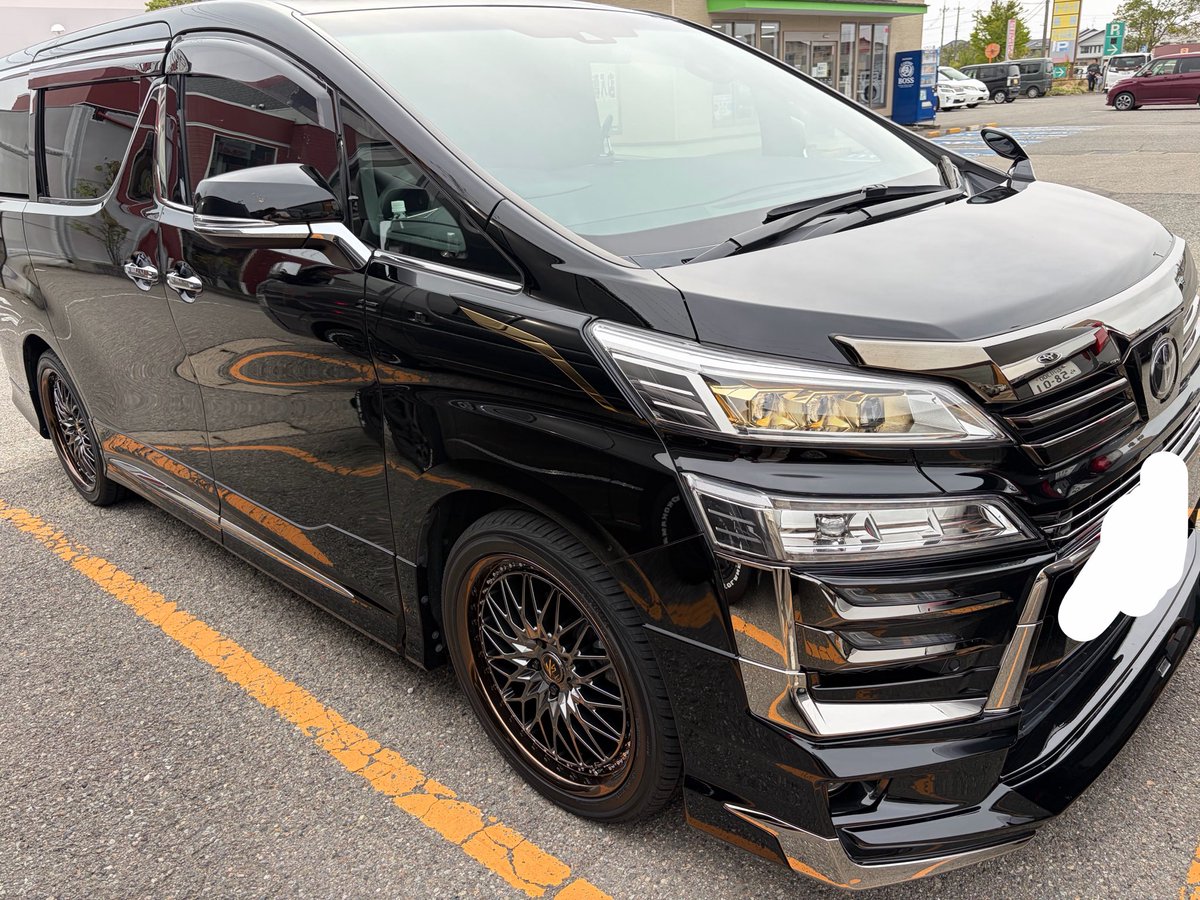 せもぽぬめ🦋 tweet media