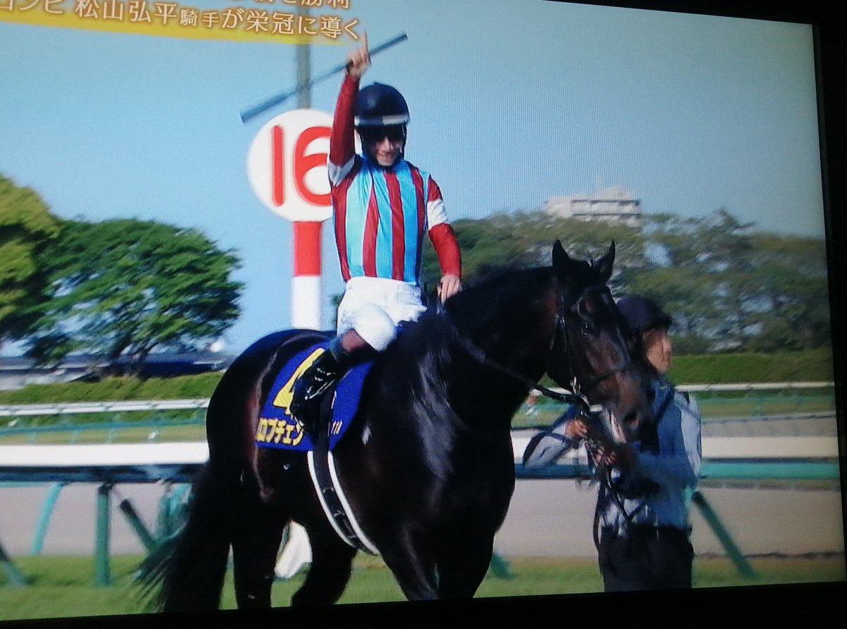 でぃしくん tweet media