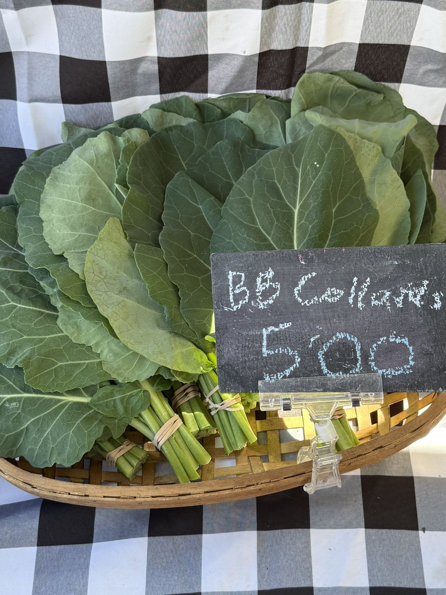 野菜ソムリエHiro🇨🇦🌈 tweet media