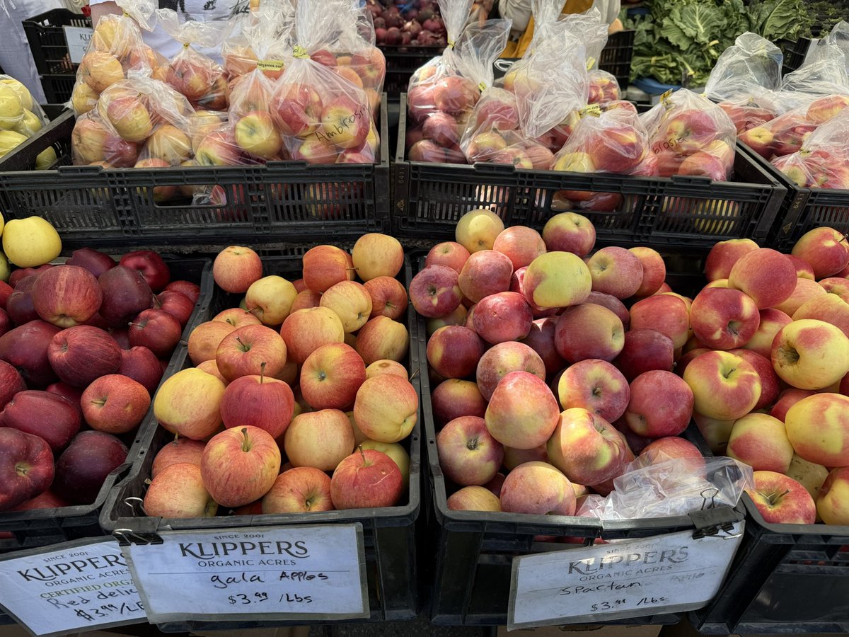 野菜ソムリエHiro🇨🇦🌈 tweet media