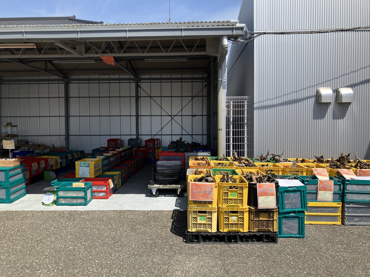 チャーム公式 tweet media