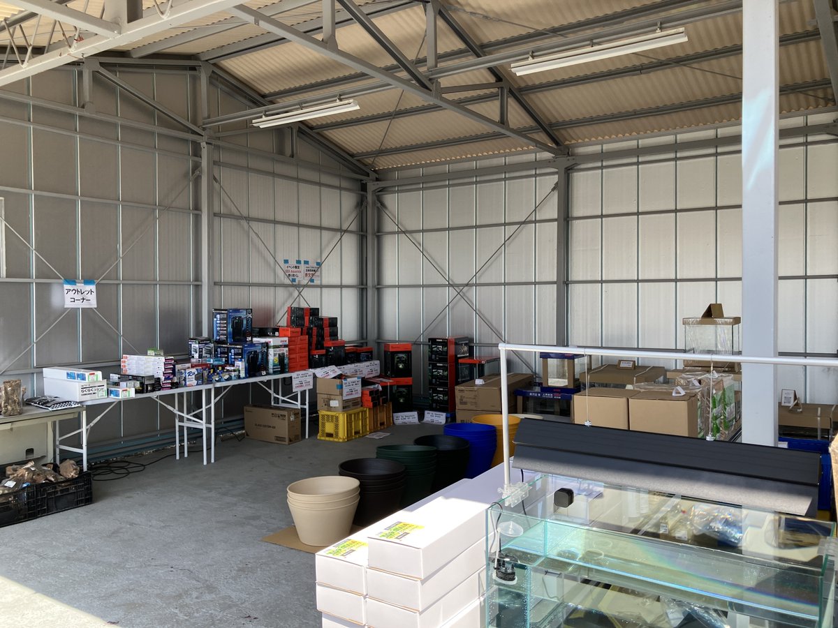 チャーム公式 tweet media