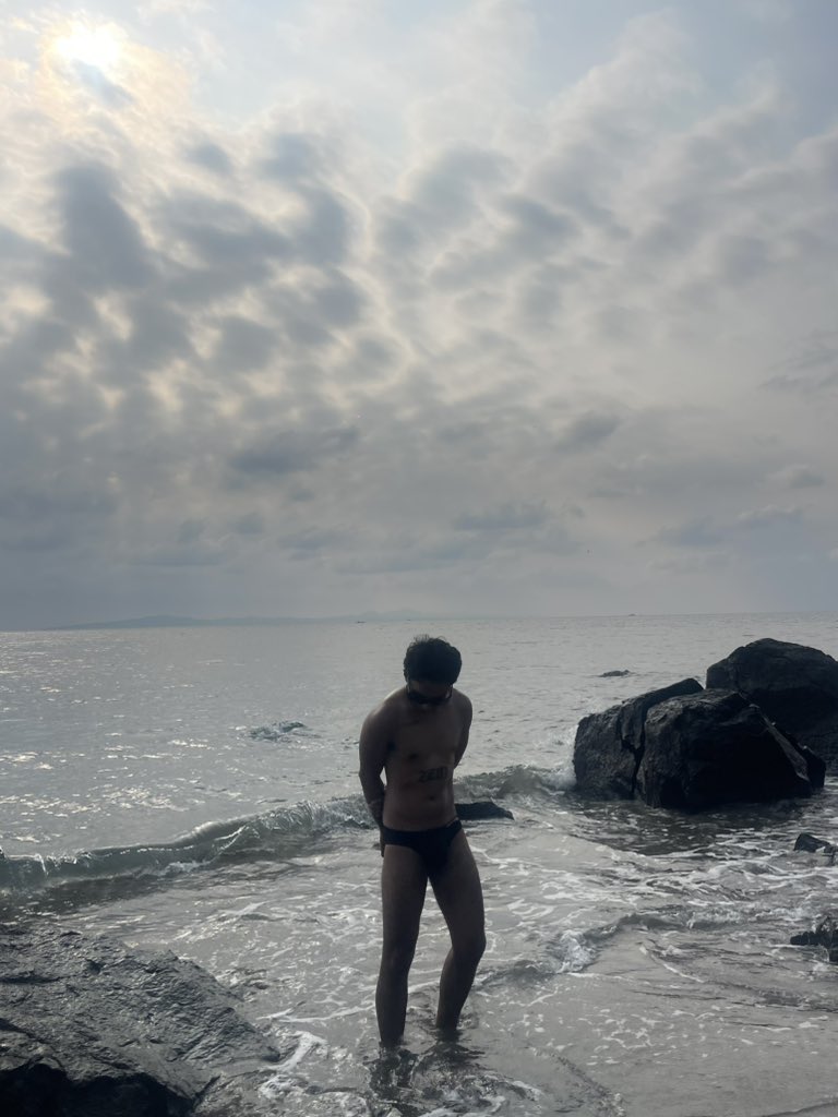 South Guy tweet media