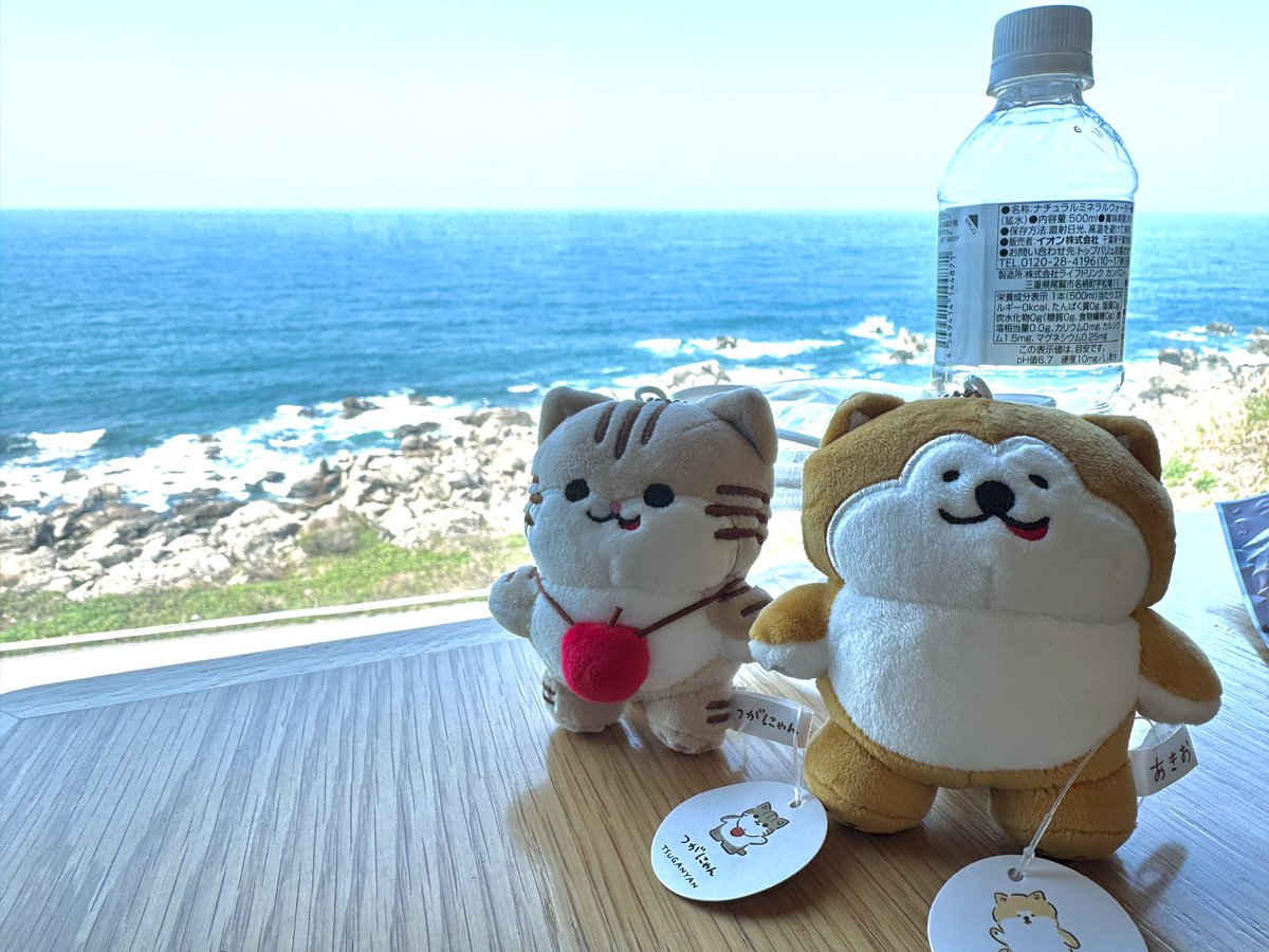 まっと tweet media