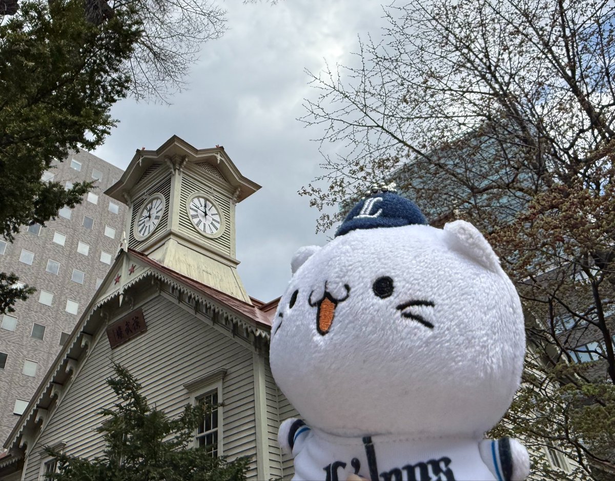 もこ tweet media