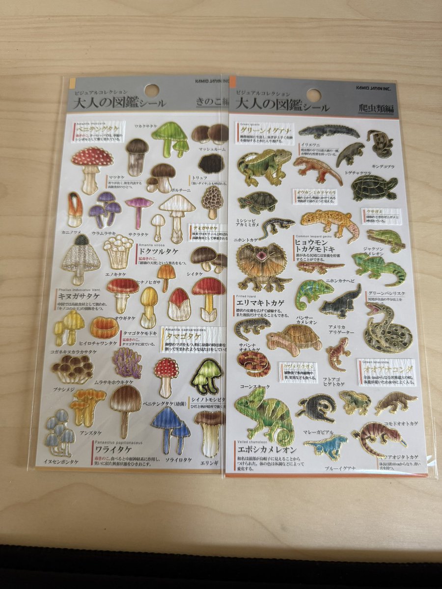 本多@上海 tweet media