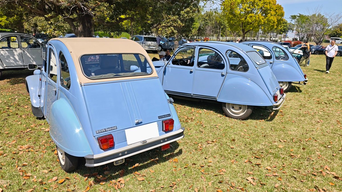 ozzyrow𖤹🐞 tweet media