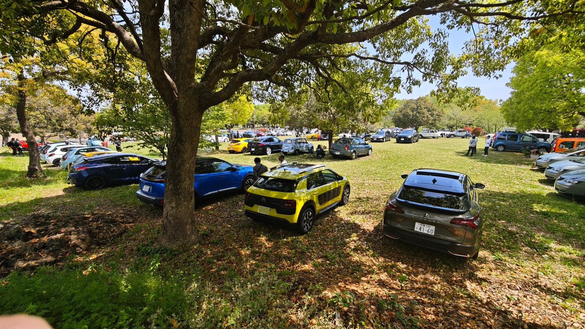 ozzyrow𖤹🐞 tweet media