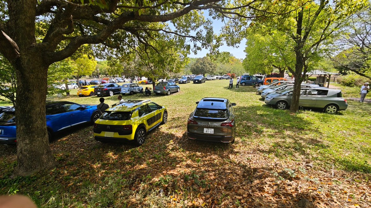 ozzyrow𖤹🐞 tweet media