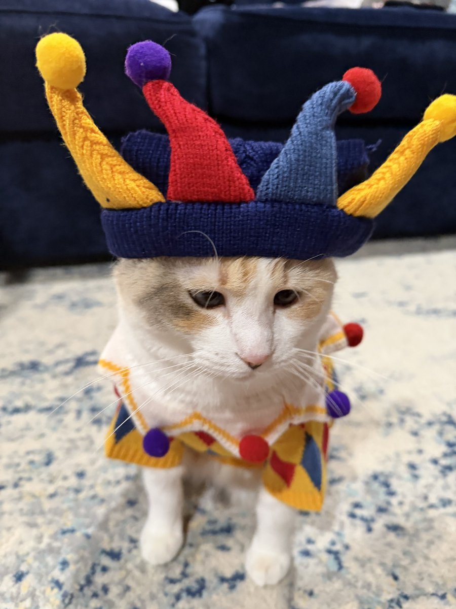 I must entertain the masses