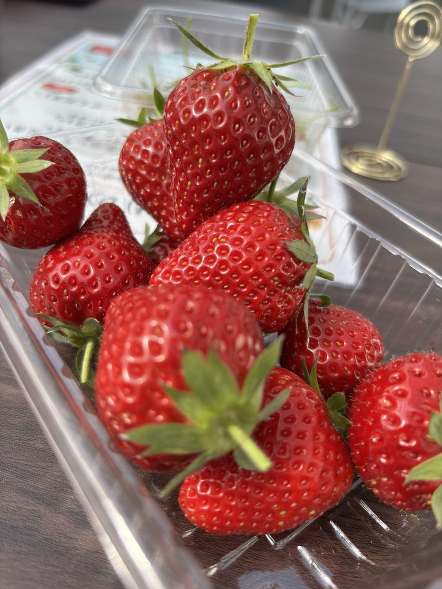 𓀤CHUN𓀤 tweet media