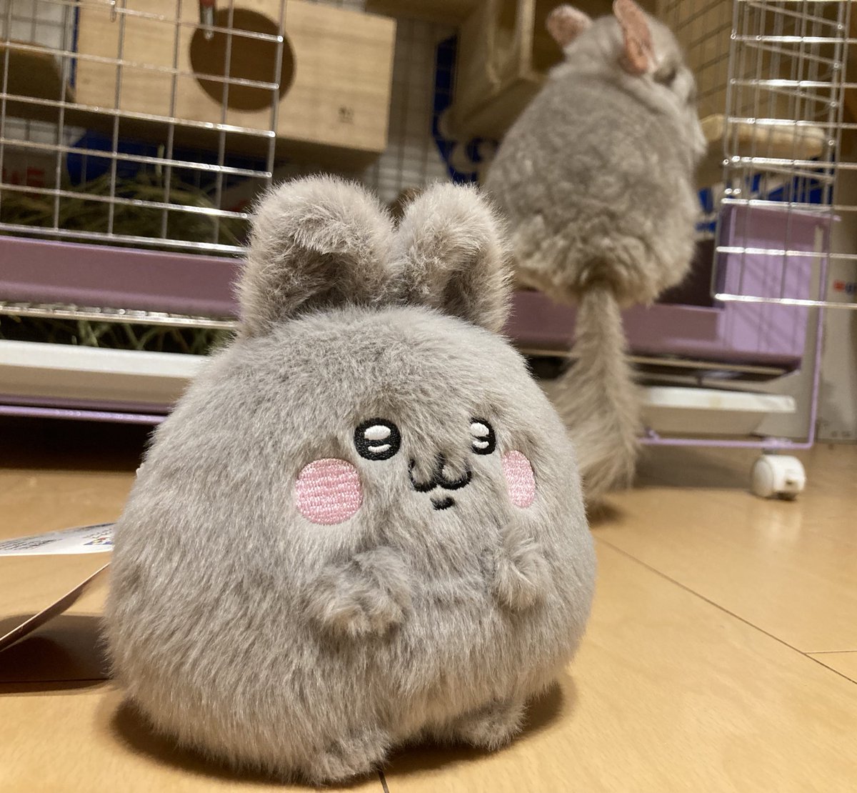 ハルノ tweet media