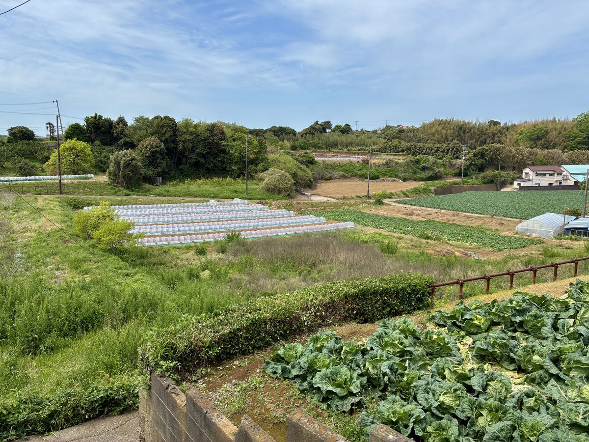 果てしなき旅景より tweet media