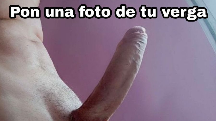 LoganyHarley tweet media