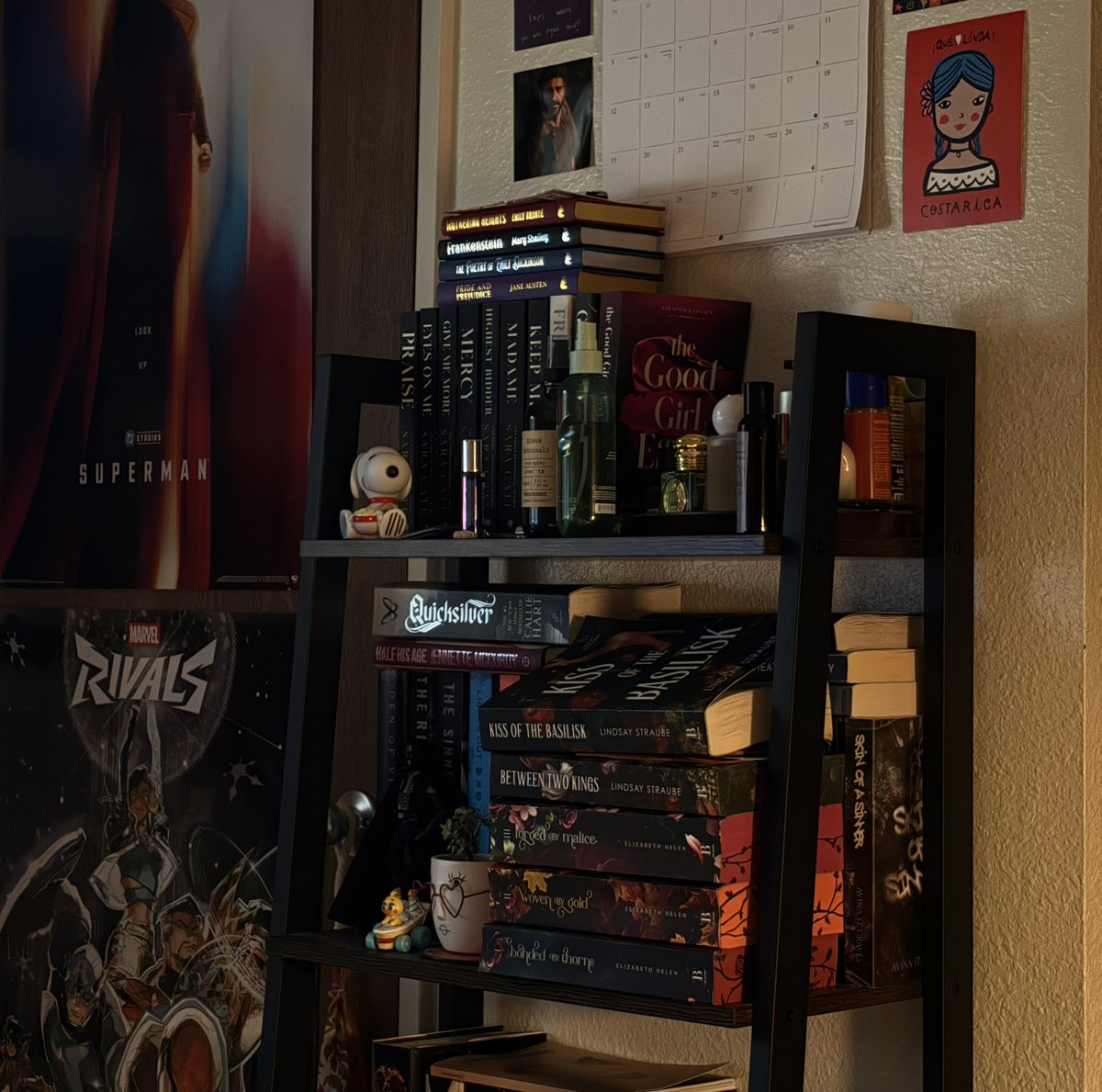 fifi 🐞 tweet media