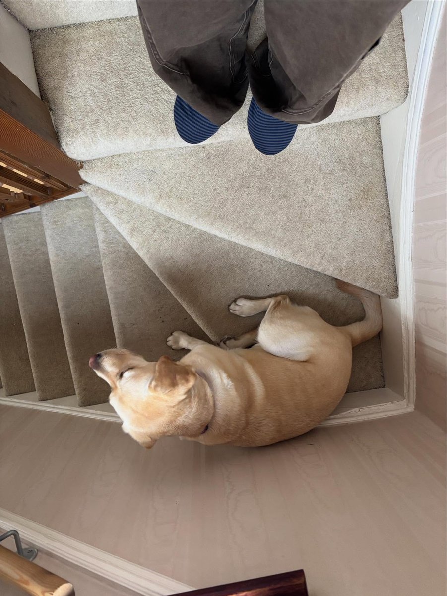 Ice Cream & My Jiggly tweet media