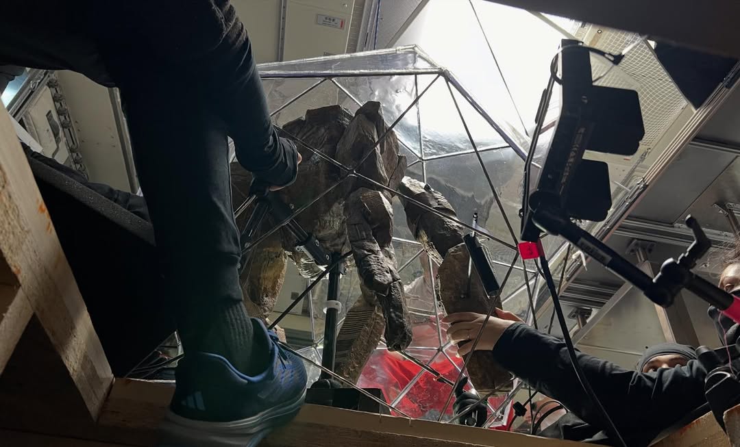 (영화 이벵 하이라E트/본계 계정정지-하2라이트 참고)𝓨𝓾𝓷𝓰🌟융 tweet media