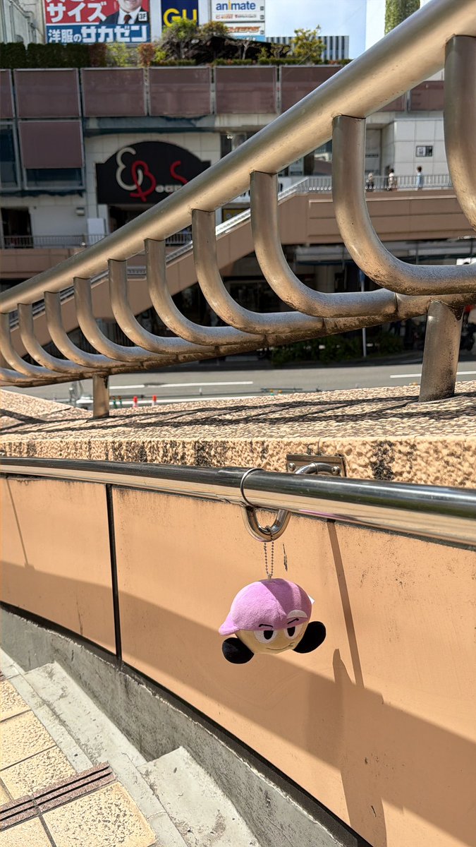 maru_ordinary's tweet photo. ヤツが迷子になってます！
仙台駅前の歩道橋階段のところにいます！
持ち主さん見つかれ！！

#WEST.  #濱ちゃん　#落とし物 https://t.co/oekhUND1jw