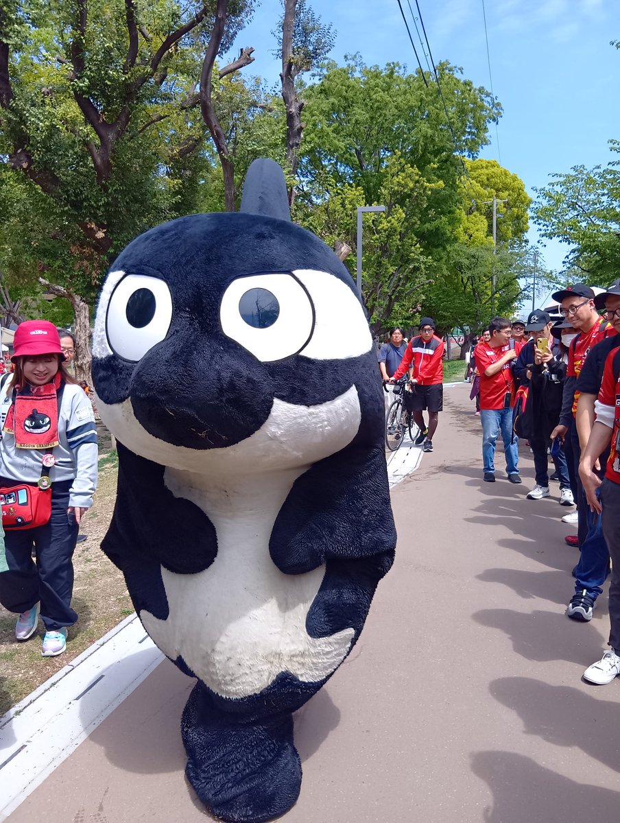 モリバ ポン tweet media