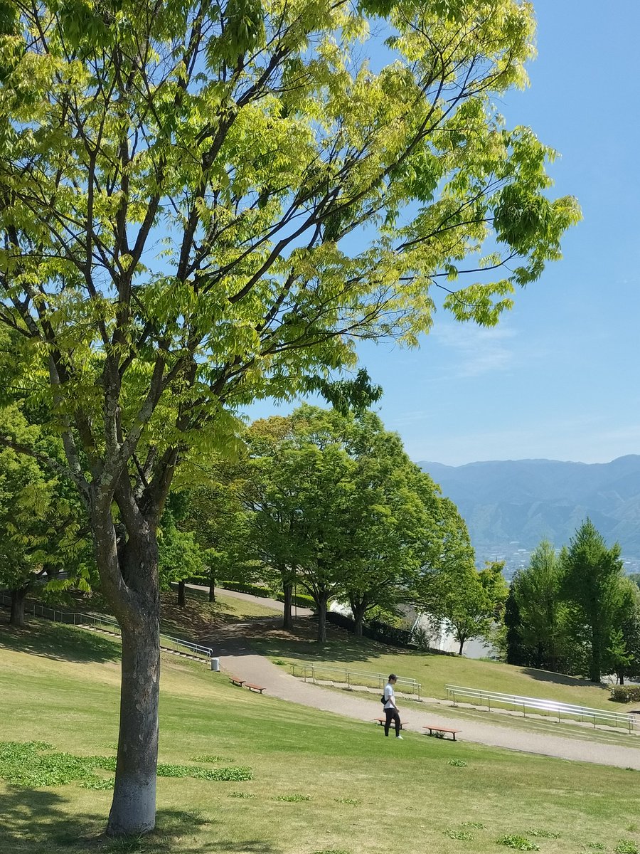 今日のアポロ.....nn🏍🐞 tweet media