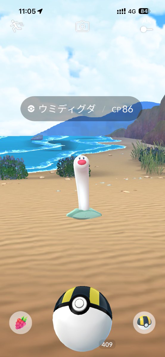 lanlanlan2003's tweet photo. ウミディグダをゲットしに海まで😊 https://t.co/vrhjRjxDRo