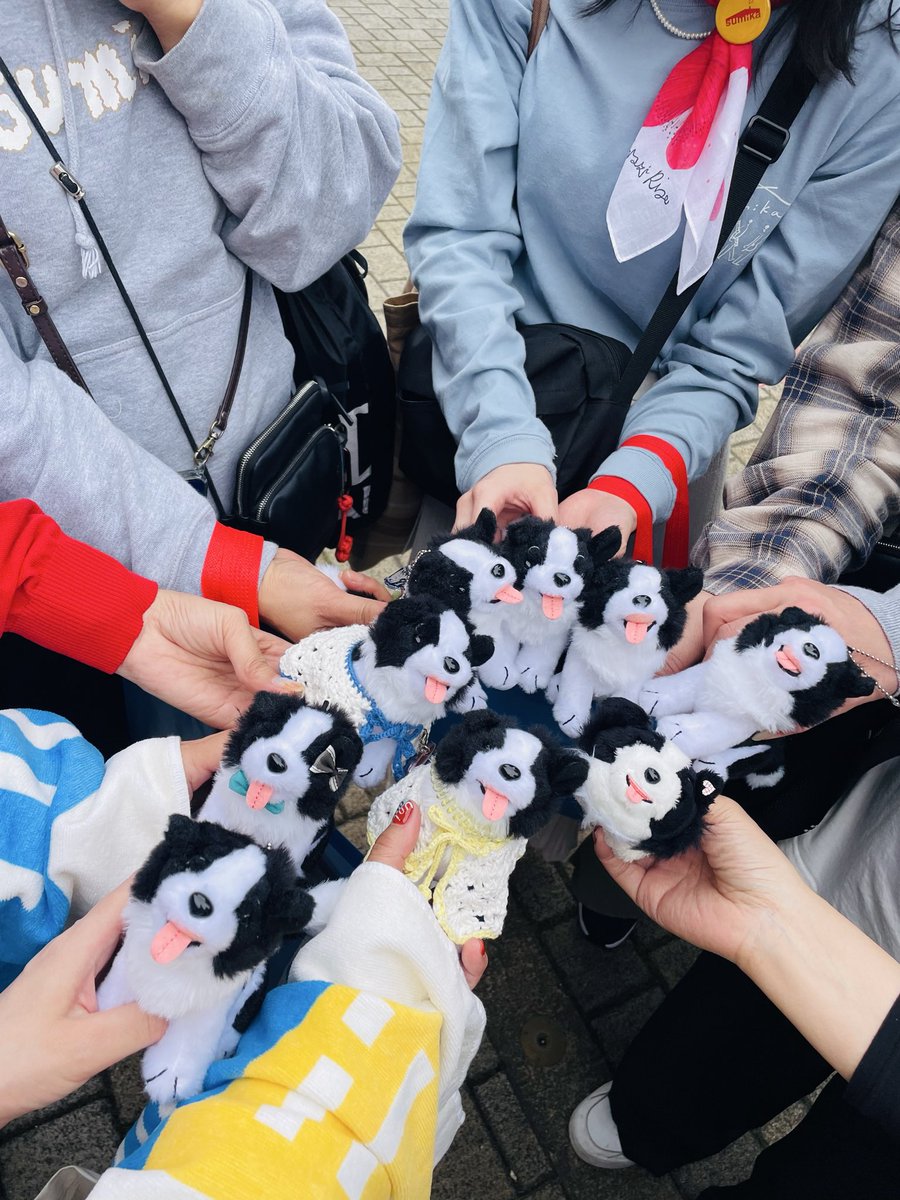 sumiyuki15's tweet photo. ちびいろはを作ってくれたおかげで、こんなにたくさんのいろはが金沢に集合しました🐶
かわいい😍
#sumika
#uniqu金沢
#いろは https://t.co/yiTxoYtoxo