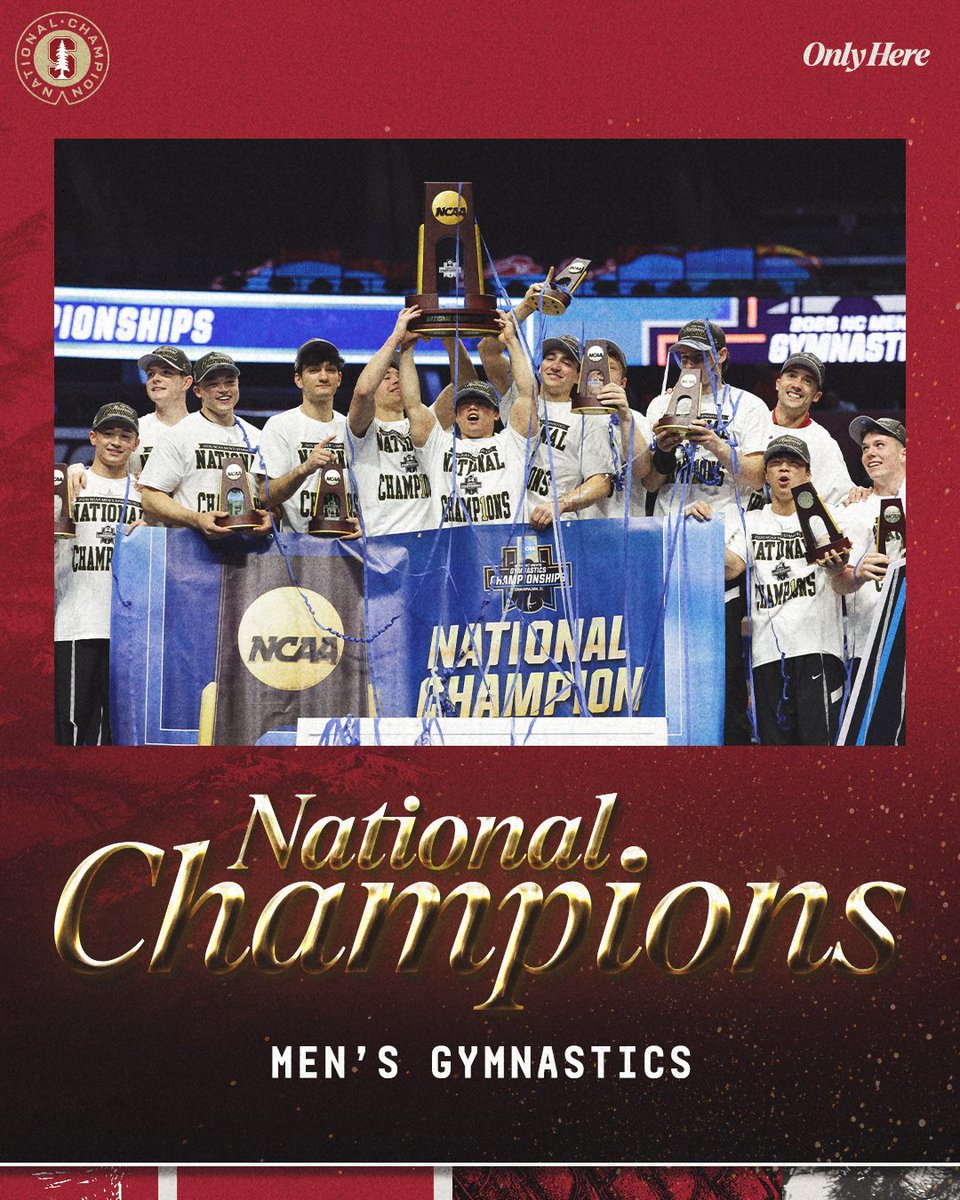 Stanford Gymnastics tweet media