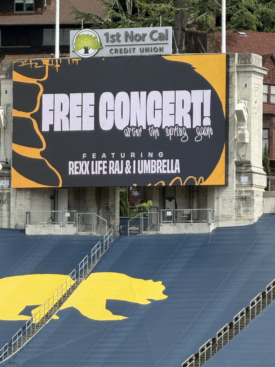 Elijah Araya tweet media