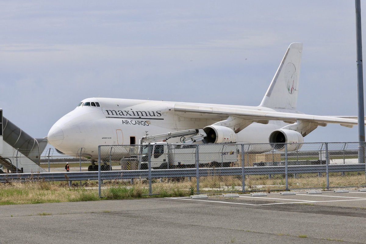 ホーリー tweet media