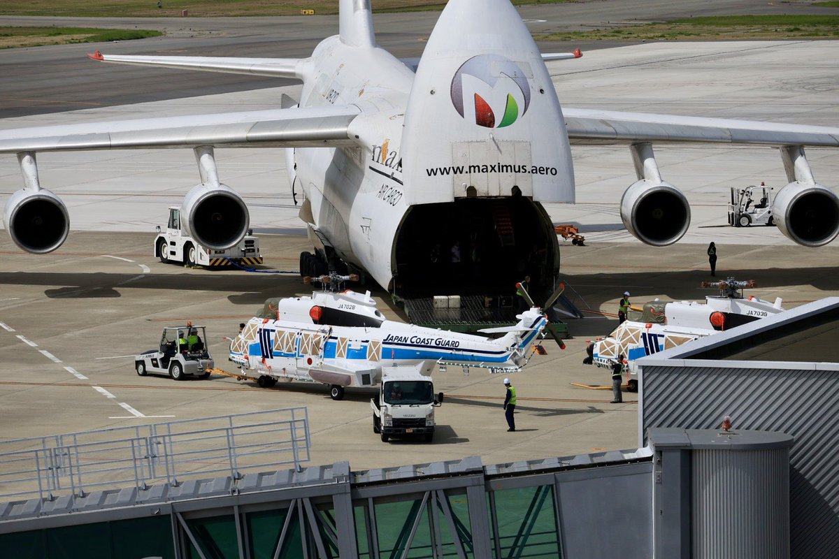 ホーリー tweet media