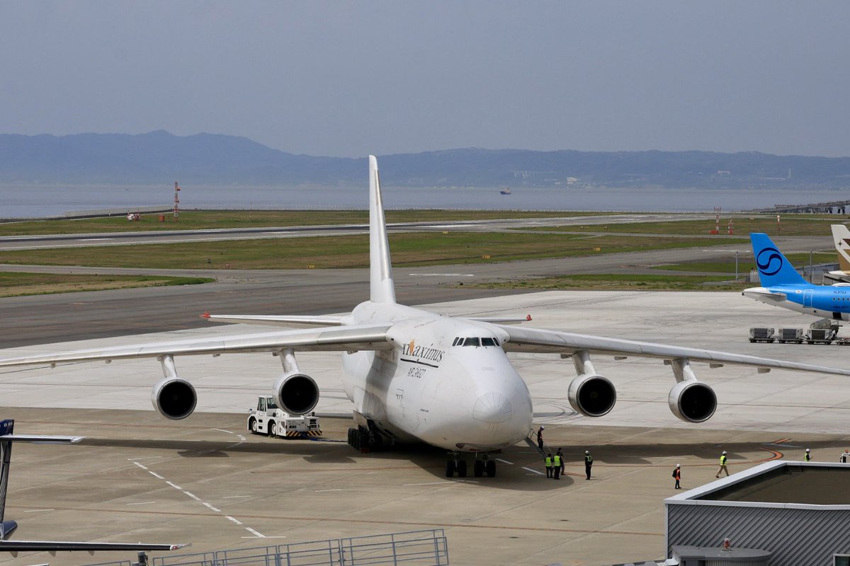 ホーリー tweet media