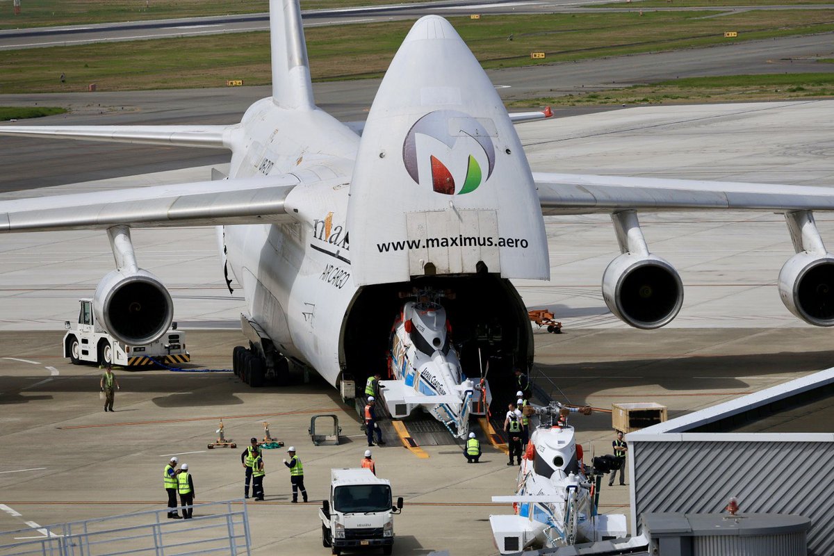 ホーリー tweet media